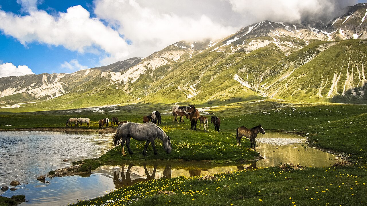 雪の残る山のふもとに草原が広がり、小さな池のほとりで馬の群れが草を食べている。黄色い小さな花が咲き、空には白い雲がかかる